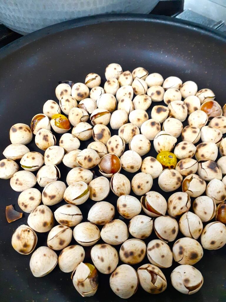インディペンデンスヴィレッジ成城西の厨房より|香ばしく炒り上げた秋の味覚・銀杏
秋の訪れとともに旬を迎える銀杏(ぎんなん)を、じっくりと時間をかけて炒り上げました。
ひと粒ひと粒が弾ける音とともに、ほのかな香ばしさが厨房に広がります。
季節を感じていただけるひと品として、お食事にそっと添えさせていただきます。